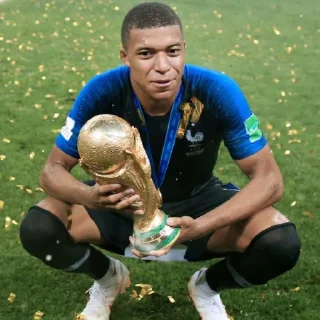 🇫🇷 emoji Football Telegram sticker 10 of 31