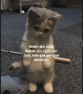 😎 emoji Punya Bunda Telegram sticker 1 of 120