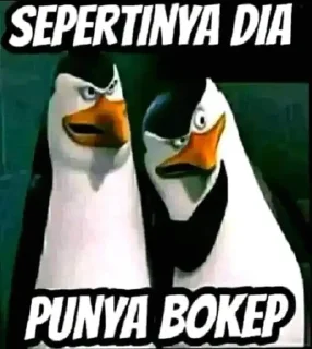 Sticker from p pack by @QuotLyBot