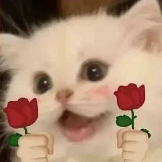 ❤️ emoji 小鹿酱 Telegram sticker 17 of 120