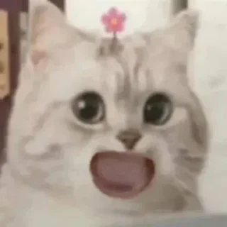 ❤️ emoji 小鹿酱 Telegram sticker 13 of 120