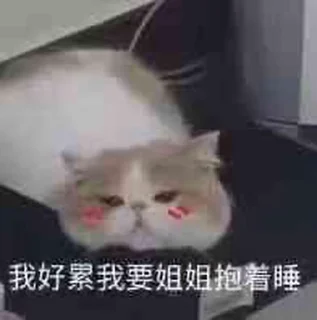 ⭐ emoji @yaoyao_miao ~Nya~ 2 Telegram sticker 19 of 76
