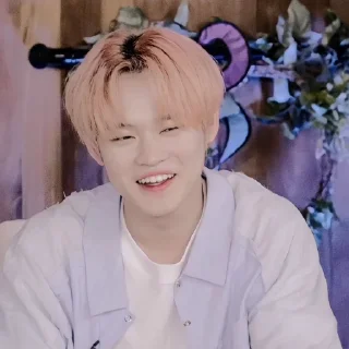 Sticker from — zhong chenle ˖࣪ ·﹆ @gicelyra