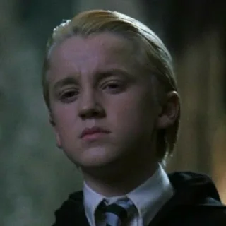🐍 emoji Draco Malfoy @stikerwestern Telegram sticker 24 of 60