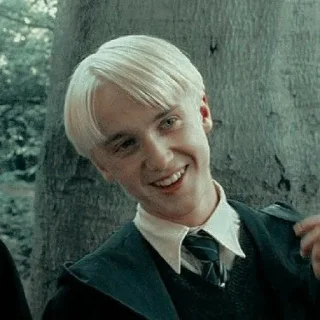 🐍 emoji Draco Malfoy @stikerwestern Telegram sticker 16 of 60