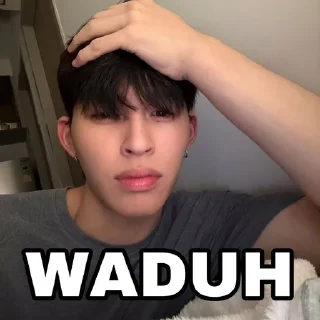 🌟 emoji punya tetangga walid (shouva) Telegram sticker 12 of 118