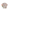 🌹 emoji 🇦𝙨𝙞𝙛𝙖✿ ⃝⃝ 🦋s animated kang pack 4 Telegram sticker 10 of 50