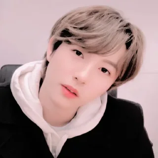 🦊 emoji ◜huang renjun ! ─ @petualangcilik Telegram sticker 22 of 22