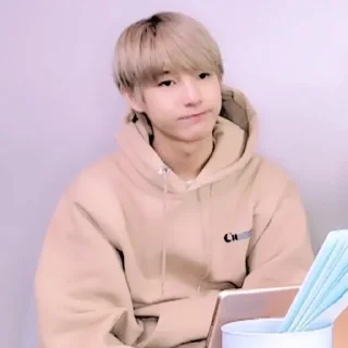 🦊 emoji ◜huang renjun ! ─ @petualangcilik Telegram sticker 5 of 22