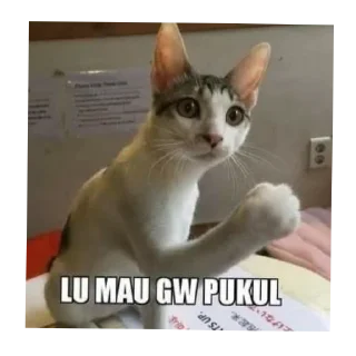 🐱 emoji jegar gans Telegram sticker 14 of 26