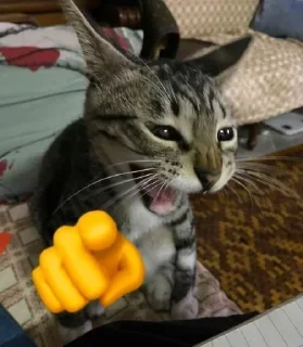 😹 emoji daun semanggi empat. Telegram sticker 9 of 97