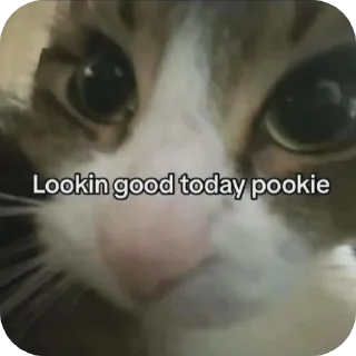 🐶 emoji @The_weirrdoo norm  by @Mikasa_Ackr_bot Telegram sticker 12 of 118