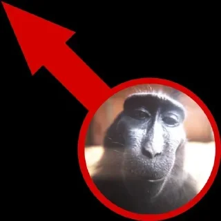🌟 emoji chloe Telegram sticker 7 of 46