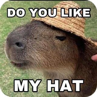 🖼 emoji Capybara Telegram sticker 13 of 69