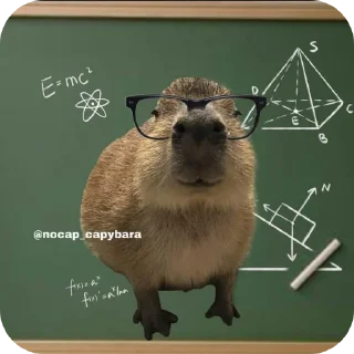 🐦 emoji Capybara Telegram sticker 7 of 69
