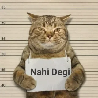 🤣 emoji ध्रुव • सीक्रेट्स ⃟🔱 @WhoTfDhruv Telegram sticker 4 of 49
