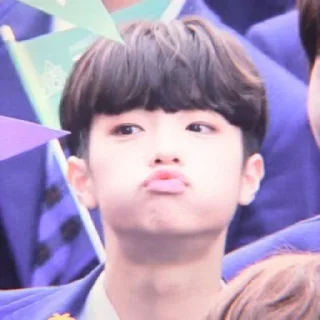🧸 emoji dongpyo @bigelpunya Telegram sticker 15 of 35