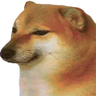 😐 emoji Shitty Pack Telegram sticker 15 of 15