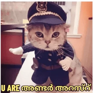 👮‍♂ emoji @poocha_serr — @stckrRobot Telegram sticker 3 of 120