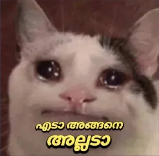 🥺 emoji @poocha_serr — @stckrRobot Telegram sticker 18 of 120