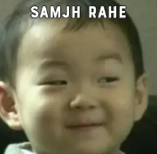 Sticker from Zoozoos's sticker pack (@Mikasa_Ackr_bot) 1