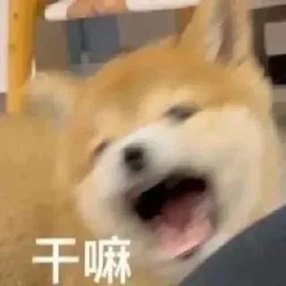 💫 emoji 自用表情包 @emo315 Telegram sticker 17 of 80