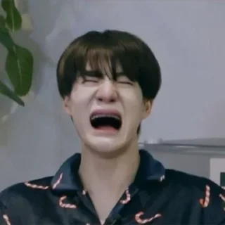 😭 emoji NCT NANGIS😭 @LOVIN6S Telegram sticker 23 of 31