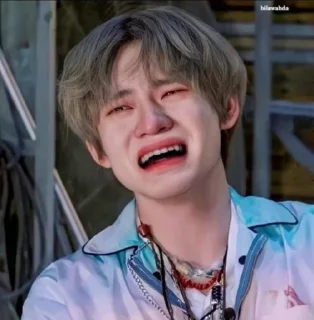 😭 emoji NCT NANGIS😭 @LOVIN6S Telegram sticker 1 of 31
