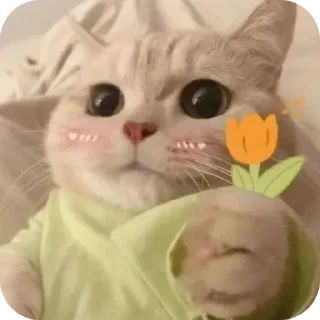 🐱 emoji HEHE !!🩷's stickers pack Telegram sticker 23 of 27