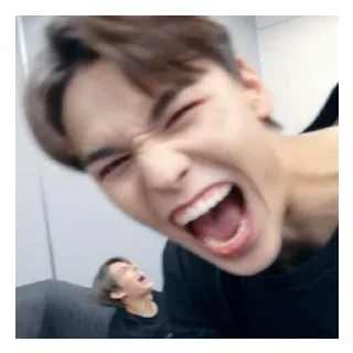 😄 emoji Svt memes Telegram sticker 10 of 52
