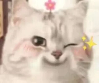 🐱 emoji 大护法的喵 Telegram sticker 23 of 119
