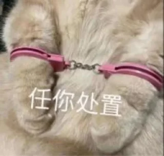 🐱 emoji 大护法的喵 Telegram sticker 8 of 119