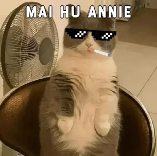 😎 emoji Annie ka pack 😎 Telegram sticker 12 of 120