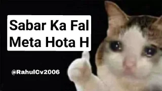 😁 emoji @RahulCv2006 Cat Pack Telegram sticker 10 of 51