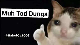 😐 emoji @RahulCv2006 Cat Pack Telegram sticker 8 of 51