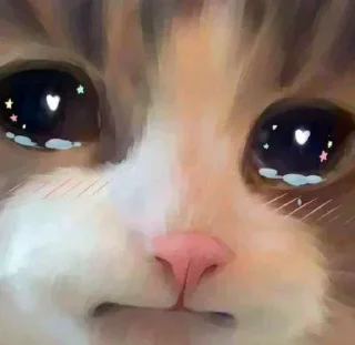 🥺 emoji @RahulCv2006 Cat Pack Telegram sticker 15 of 51