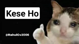 🤔 emoji @RahulCv2006 Cat Pack Telegram sticker 2 of 51