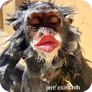👄 emoji suheri Telegram sticker 6 of 50