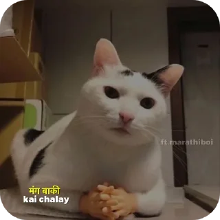 🐱 emoji ωση∂єя вσу 𝙵𝚝. मराठी Telegram sticker 10 of 120