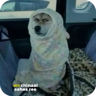 🐶 emoji ωση∂єя вσу 𝙵𝚝. मराठी Telegram sticker 20 of 120