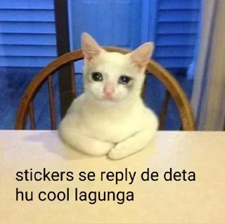 🥺 emoji αℓσηє вσу『NEWBIES』『𝓟𝓮𝓰𝓪𝓼𝓾𝓼 』s kang pack 2 Telegram sticker 5 of 59