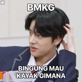 Sticker from nie meme
