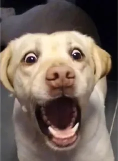 😮 emoji 江小壶的大想法 Telegram sticker 9 of 80