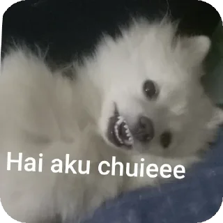 Sticker from Chuieee stikerrrr