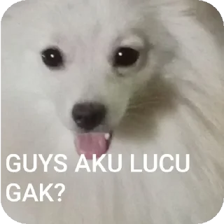 🐶 emoji Chuieee stikerrrr Telegram sticker 9 of 11