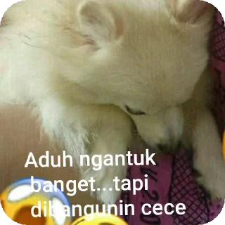 🐶 emoji Chuieee stikerrrr Telegram sticker 8 of 11