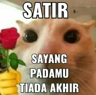 Sticker from punya kesa sigma ini gusy 🤫🧏🏻‍♀️