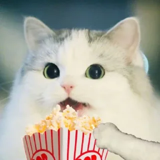 🍿 emoji @Rintoshaka's pack Vol.1 Telegram sticker 19 of 69
