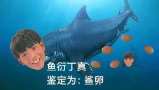 🦈 emoji 义眼丁真 Telegram sticker 11 of 46