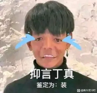 😭 emoji 丁真 Telegram sticker 23 of 44